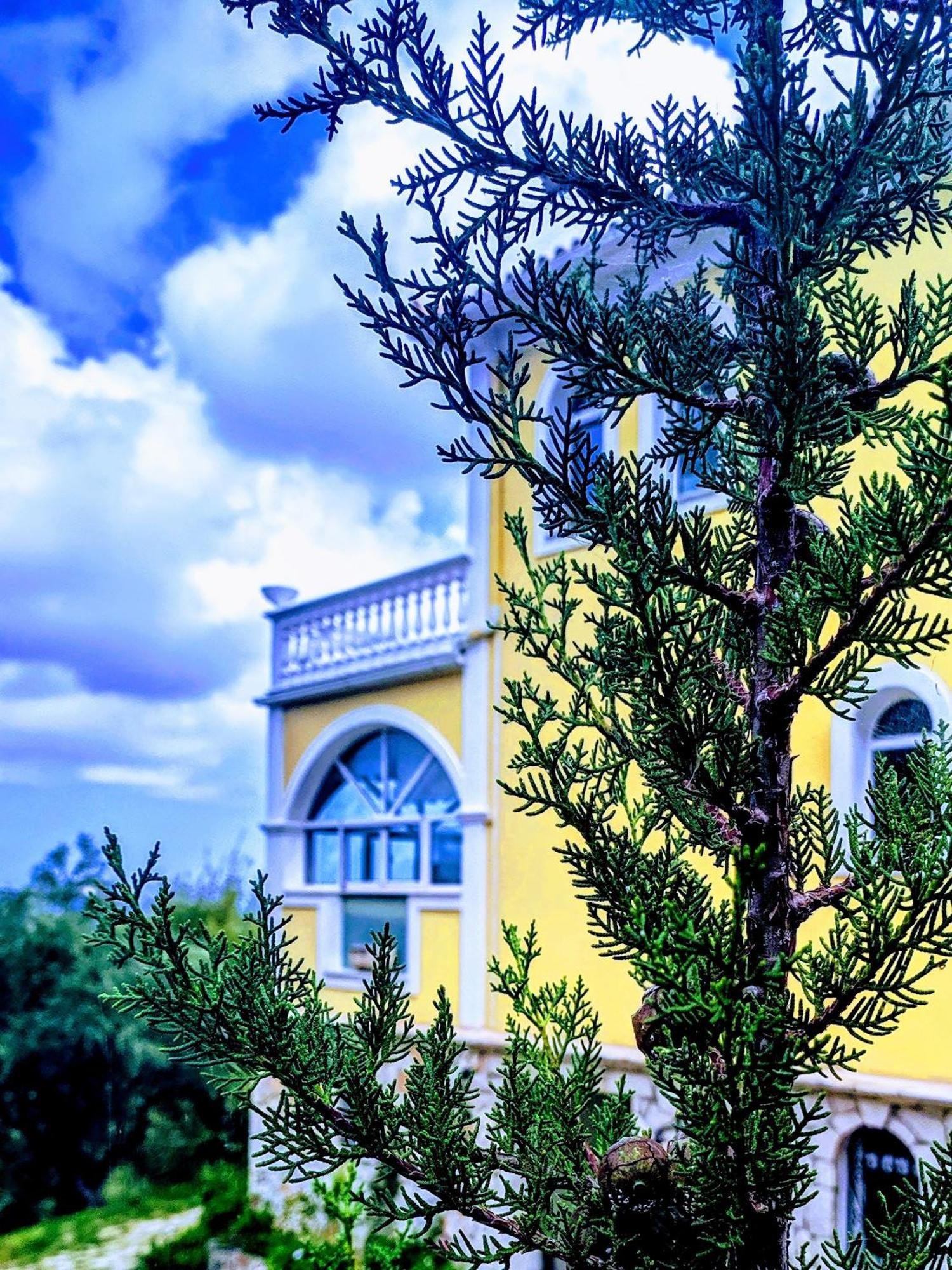 Vila Kalielaia Mouzákion Buitenkant foto